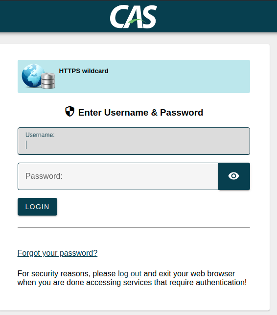 Screenshot showing the basic CAS login page - with the service name shown (as defined in the .json file)