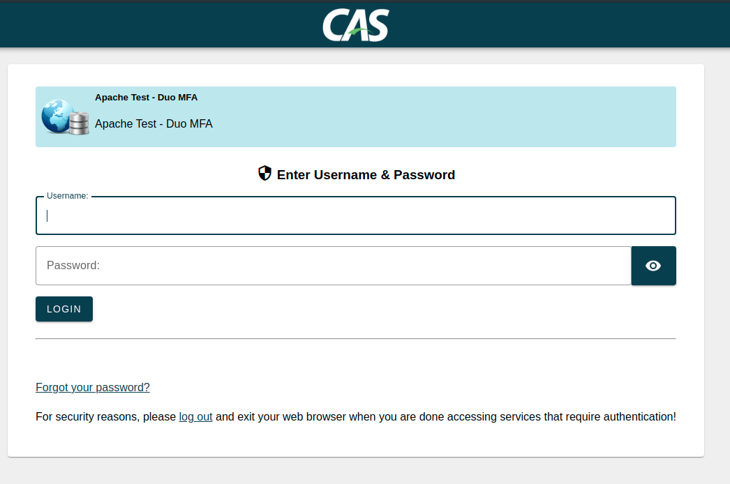 Screenshot showing CAS login page